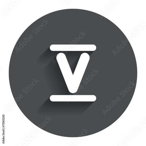 Roman numeral five icon. Roman number five sign.