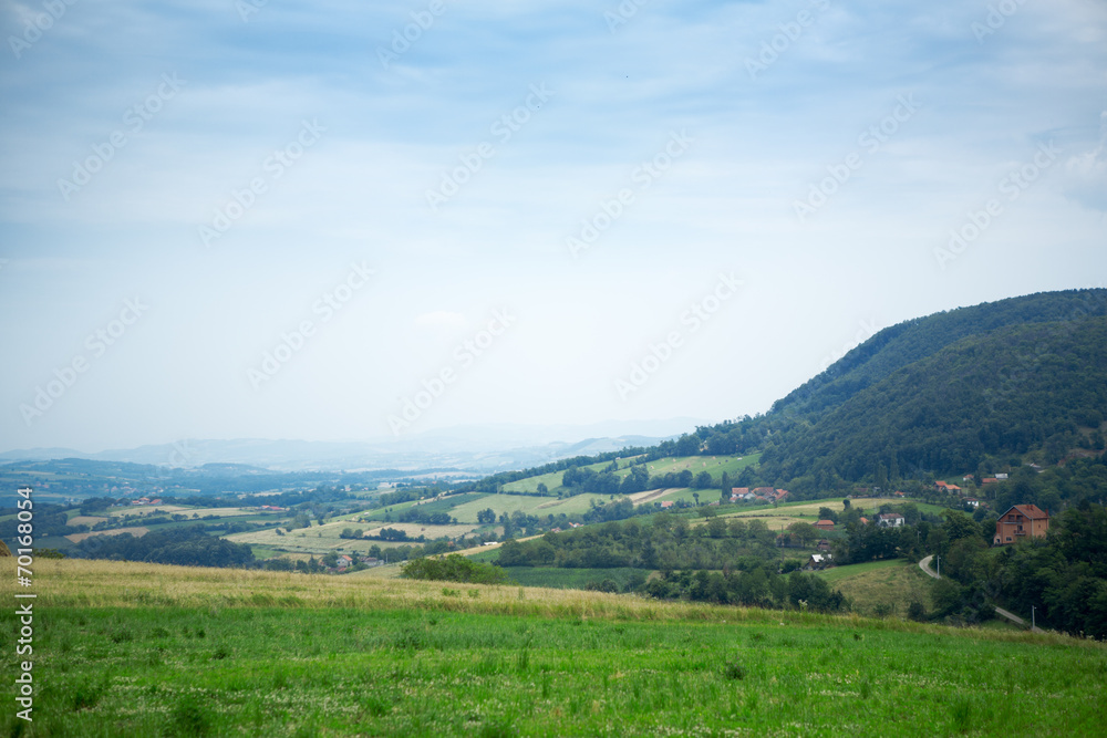 Naklejka premium Landscape of green nature