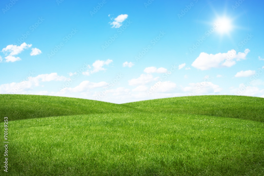 Obraz premium Green field and blue sky