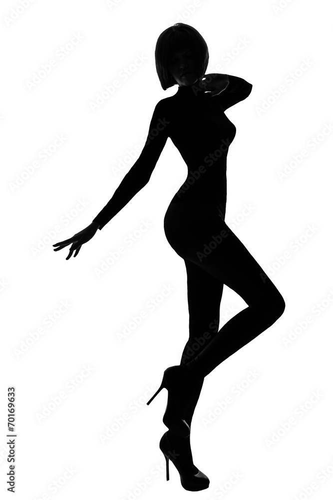 Silhouette of fashion girls Silhouette of fashion girls