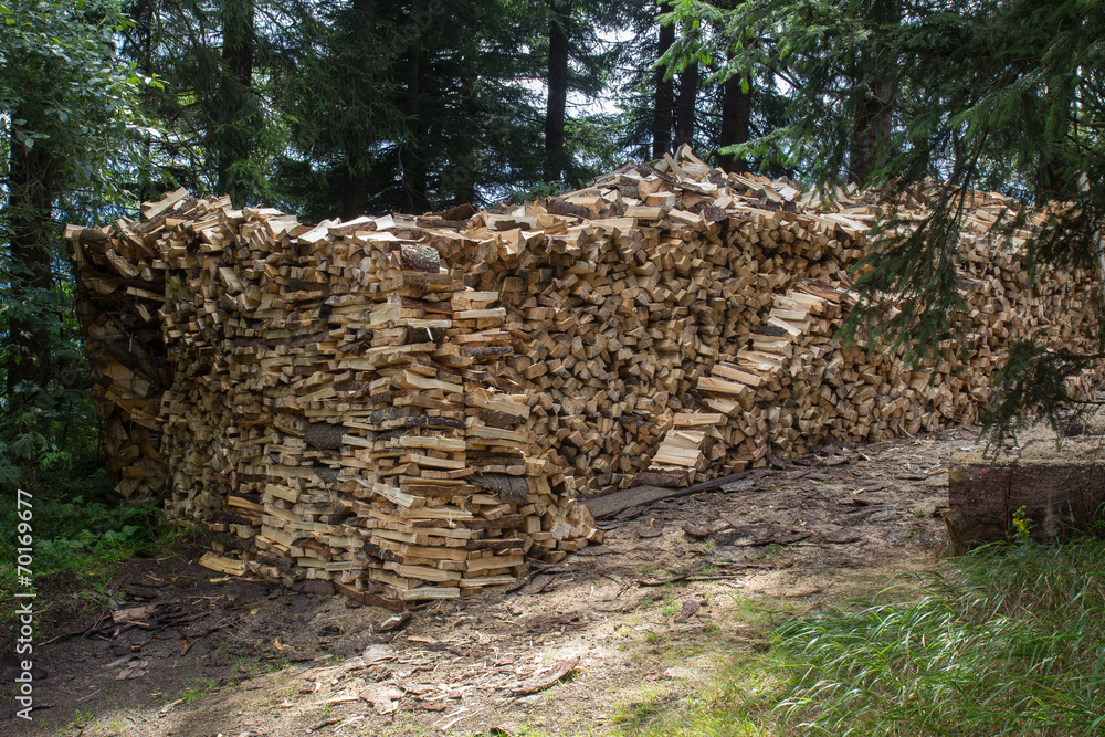 Stacked wood pine timber