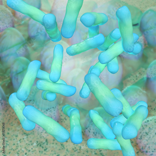 Shigella dysenteriae - 3d Render photo