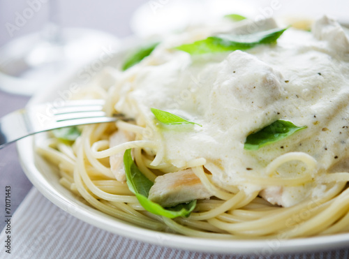Fotografie Pasta with chicken, creamy sauce and basil