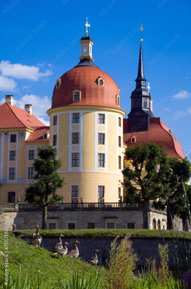 Turm Schloss Moritzburg mit Gänsen