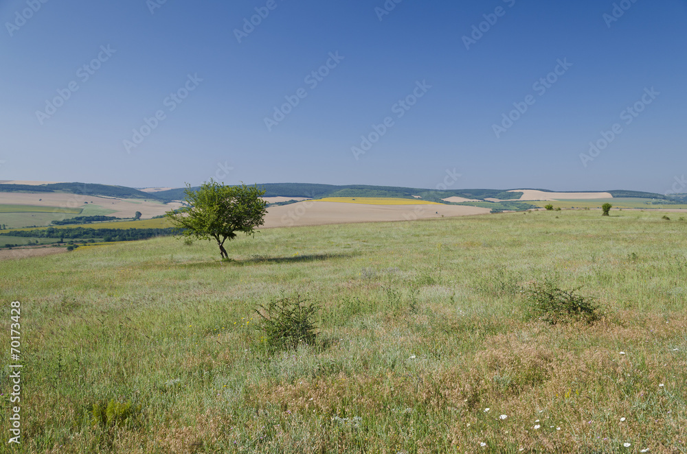 Green fields - Beautiful village landscape in northern Bulgaria