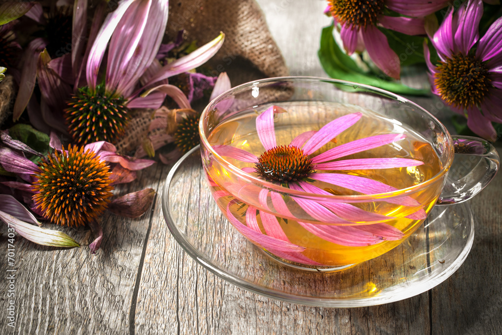 Herbal Tea. Echinacea purpurea - obrazy, fototapety, plakaty 