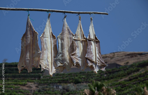 Bacalhau-salty cod from Portugal