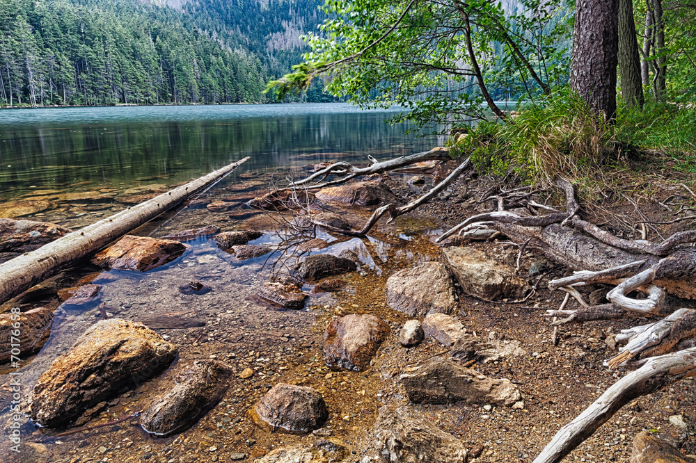 Obraz premium Glacial Black Lake surrounded by the forest
