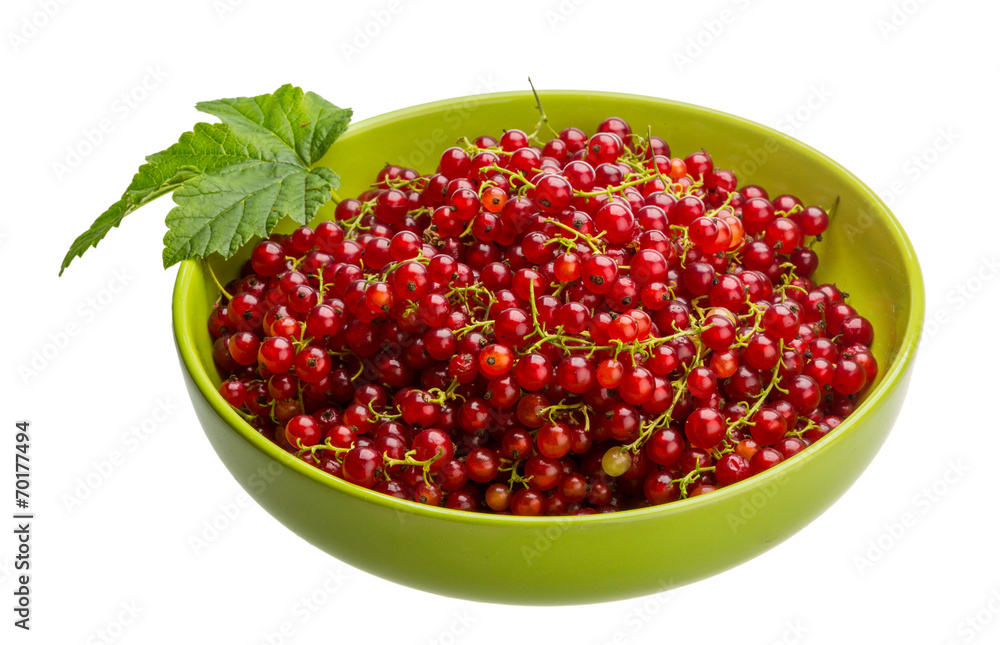 Red currant Red currant