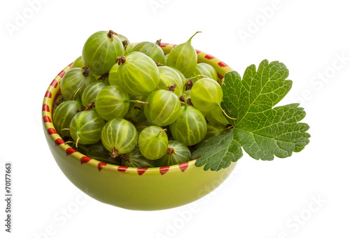 Wallpaper Mural Gooseberry Torontodigital.ca