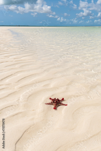 Photography Zanzibar beach
