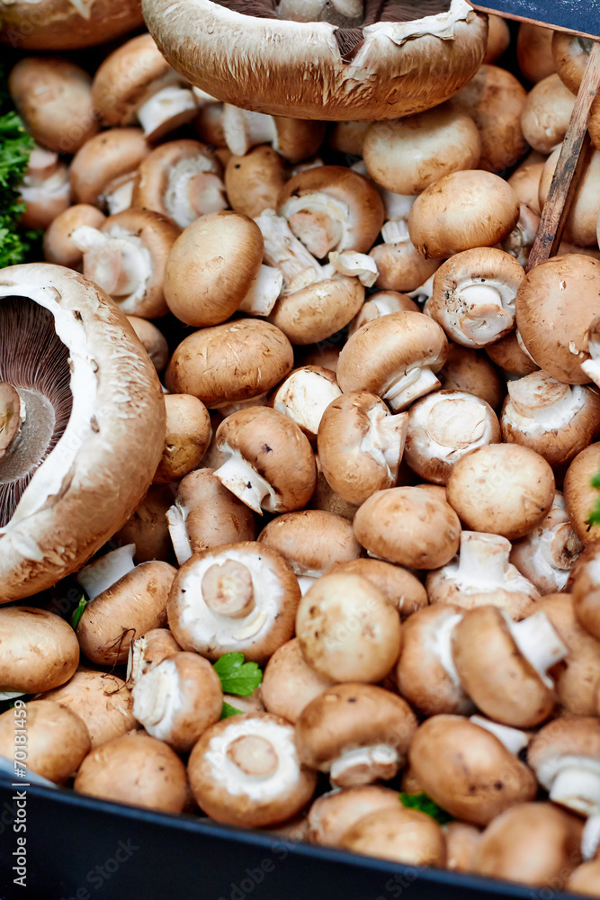 Mushrooms at the market