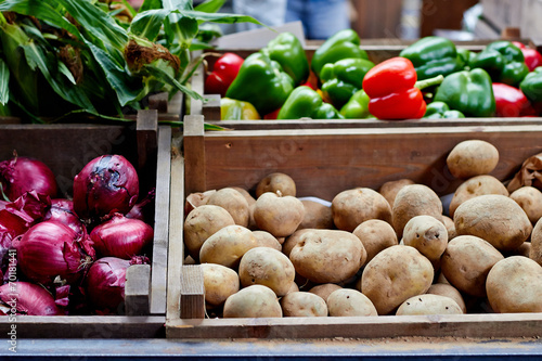Canvas Print Mix of vegetables at the market for sale