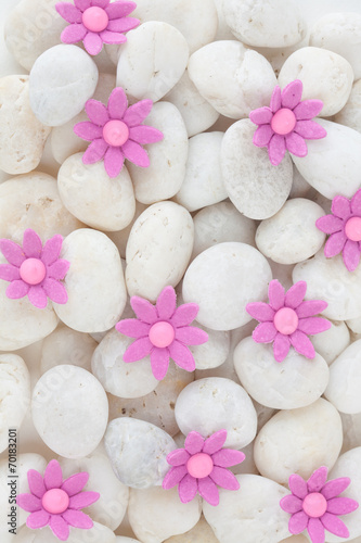 Flowers on white pebbles with white paper background