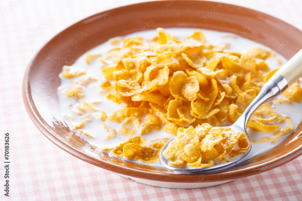 コーンフレーク Cornflakes Cereal コーンフレーク Cornflakes Cereal