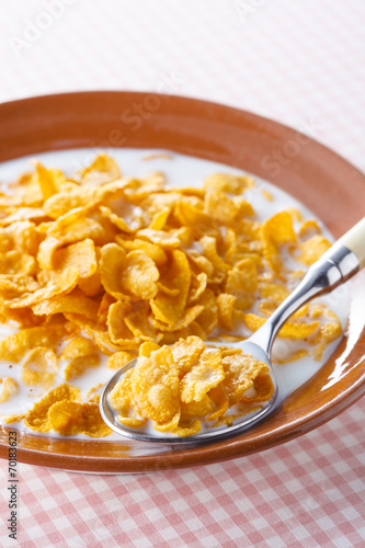 コーンフレーク Cornflakes Cereal