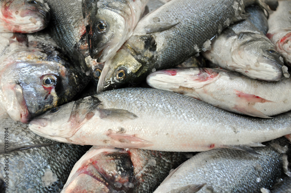 Fresh fish in a fish market