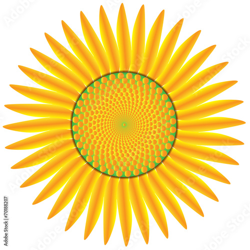 Fototapeta Naklejka Na Ścianę i Meble -  Sunflower