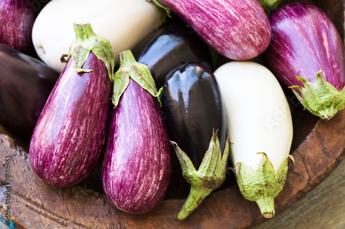 Fresh eggplants photo