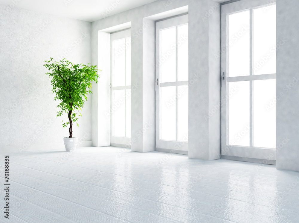 Fototapeta premium green plant in the empty room