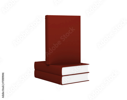 Obraz na płótnie red book