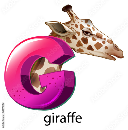 A letter G for giraffe
