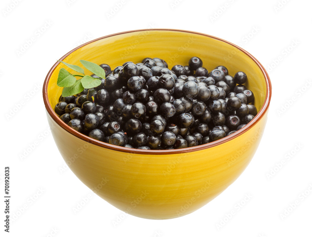 Blueberry Blueberry