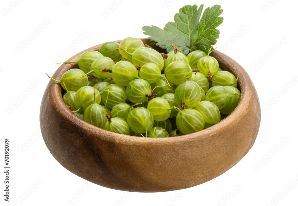 Gooseberry Gooseberry