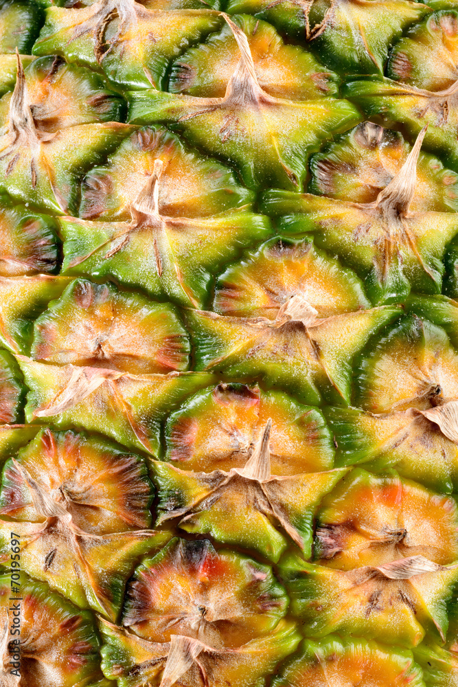 Textured surface of pineapple in full length as a background. Textured surface of pineapple in full length as a background.