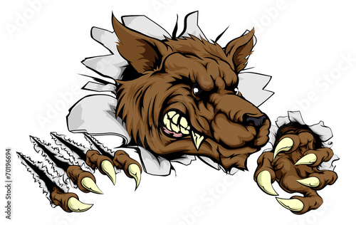 Werewolf or wolf clawing through