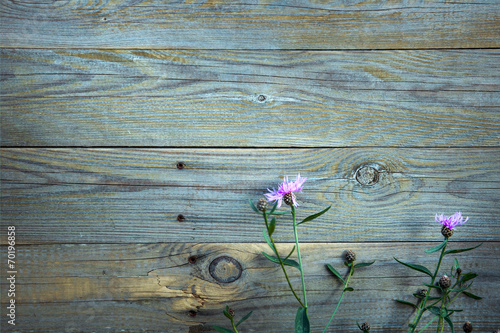 pink flowers and with the old blue wooden fence