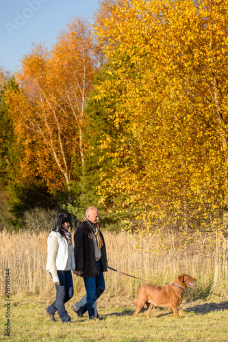 Couple walking dog in sunny autumn countryside