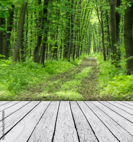 Nature background with wood and beautiful nature background
