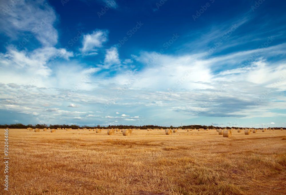 straw bales on a field