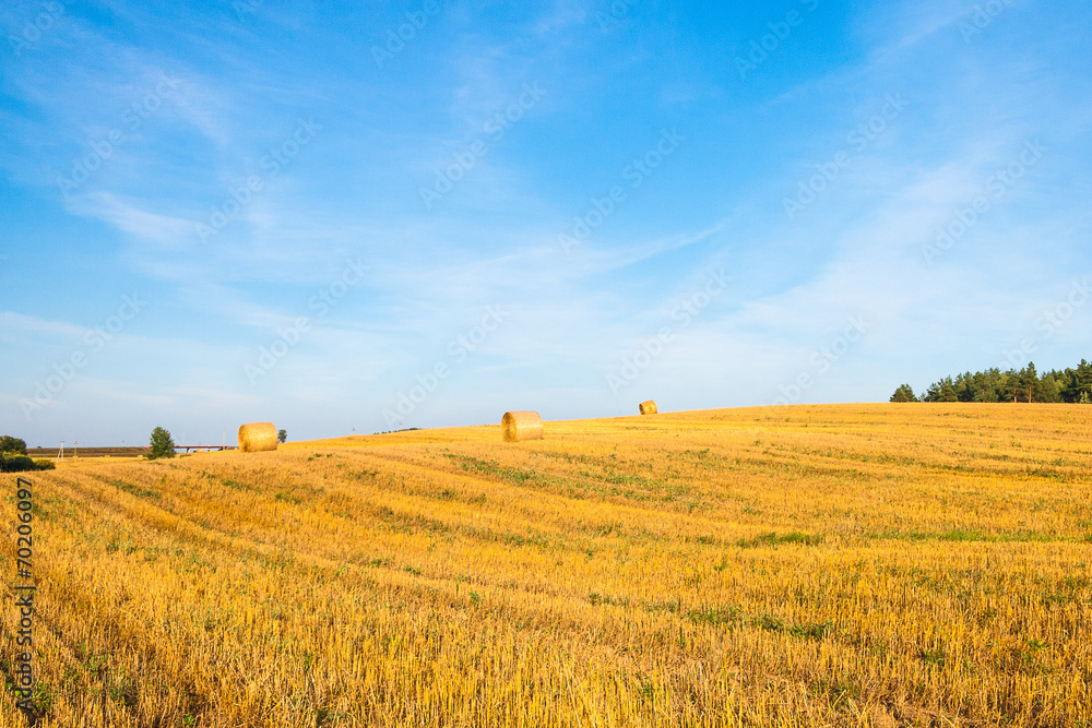 Obraz premium Haystacks in the field