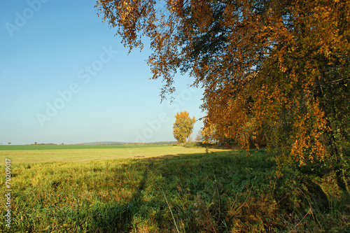 Fototapeta Naklejka Na Ścianę i Meble -  Herbststimmung