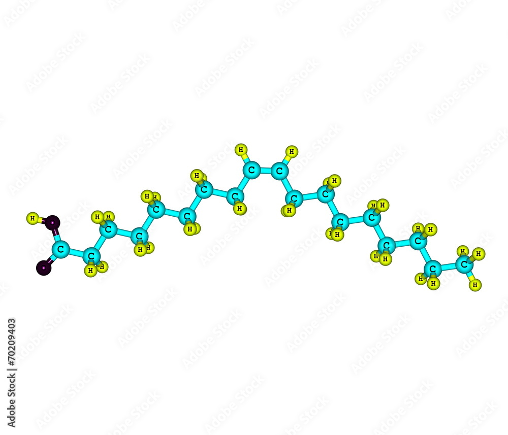 Oleic acid molecule isolated on white Oleic acid molecule isolated on white