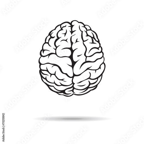 Brain icon. On the white background. Vector illustration.