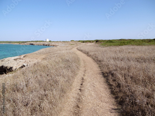 sentiero su punta pizzo