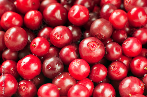 cranberry