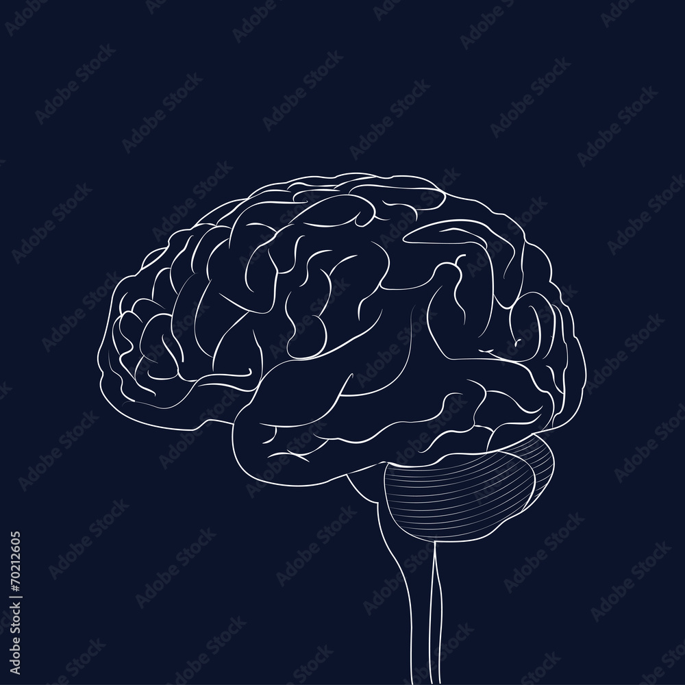 Brain in negative Brain in negative