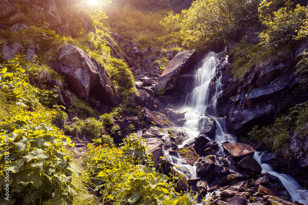 Fototapeta premium river