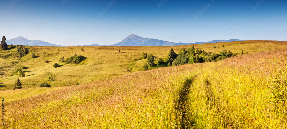 sunny mountain landscape