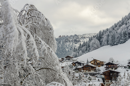 Photos Snowy tree and Morzine vilage chalets