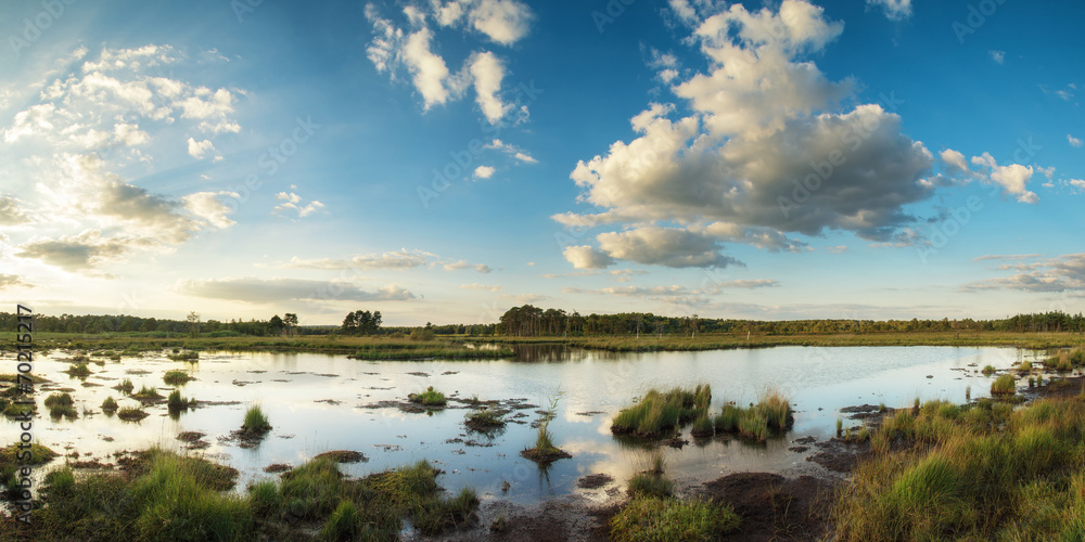 Naklejka premium Summer sunset panorama landscape over wetlands