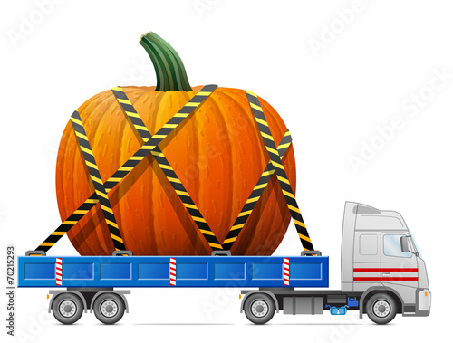Road transportation of pumpkin fruit. Big winter squash