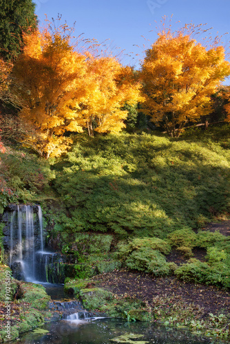 Stunning vibrant Autumn landscape of waterfall