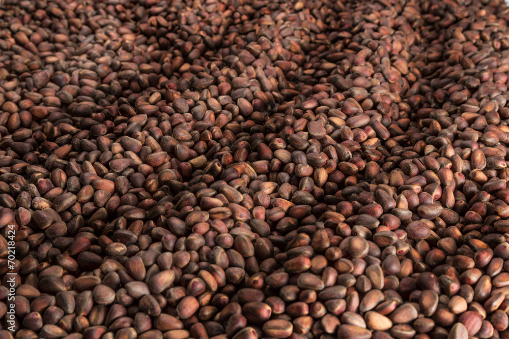 pine nuts pine nuts