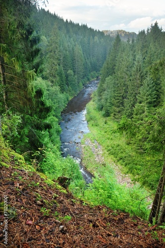 Blanice river in Bohemia photo