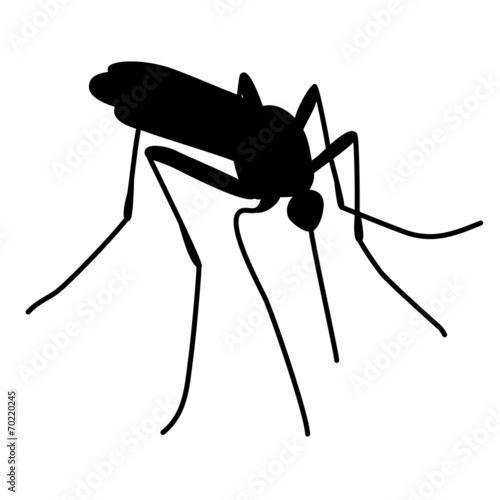 mosquitoe bite